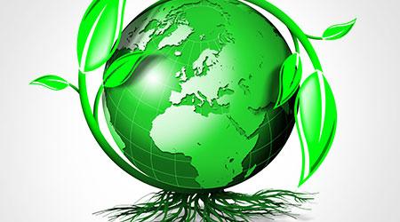 Eco-Friendly Vibes: TikTok Creators Champion Sustainability Eco-Friendly Vibes: TikTok Creators Champion Sustainability