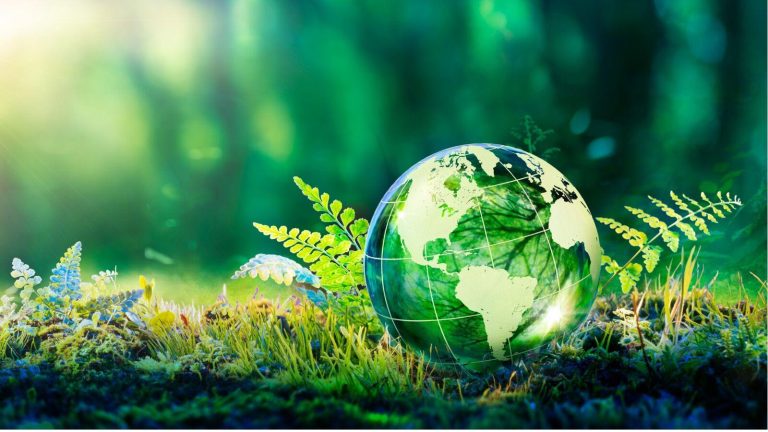 TikTok’s Impact on the Rise of Sustainable Living Trends TikTok’s Impact on the Rise of Sustainable Living Trends