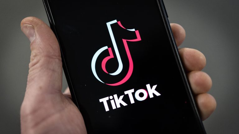 Transforming Education: The Impact of TikTok Creators Transforming Education: The Impact of TikTok Creators
