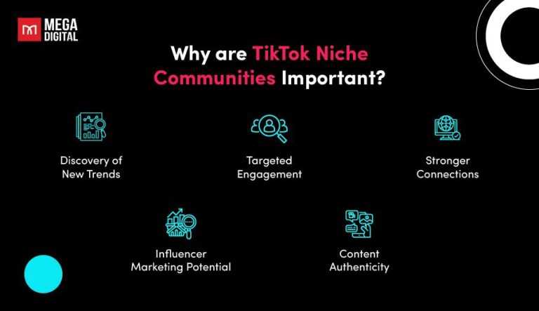 Examining TikTok Communities and Their Impact on Youth Culture Examining TikTok Communities and Their Impact on Youth Culture